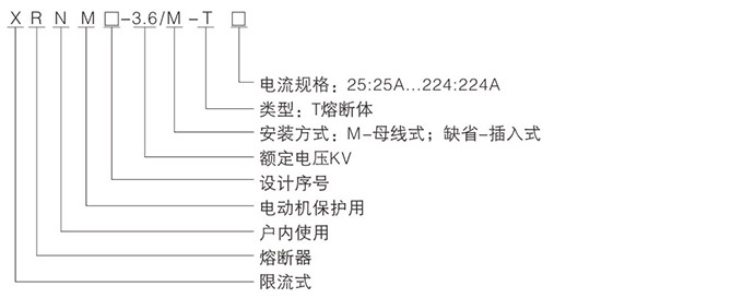 高壓限流熔斷器型號示意